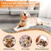2PCs Interactive Dog Ball Toys - Self-Strolling Hard-Wearing Automatic Rolling Balls for Dogs - Wicked Ball - Perfect for Playtime & Fun! - Buy Online on GoSupps.com