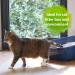 Bactador Cat Litter Odour Remover Spray 500ml - Enzyme Cleaner for Cat Urine Odors - Household & Animal Environment Solution - Buy Online on GoSupps.com