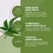 Andalou Naturals Face Sunscreen SPF 30 | CannaCell Sun Buddy with Hemp Stem Cells | Moisturizing Reef Safe & Broad Spectrum | International Shipping Available - Buy Online on GoSupps.com