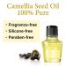 OshimaTsubaki Japanese Camellia Oil for Hair, Skin & Nails (2.03 FL. OZ / 60mL) - 100% Pure and Natural - Buy Online on GoSupps.com