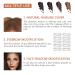 Waterproof Eyebrow Stamp Stencil Kit with Filling Powder - Light Brown | Includes 10 Stencils and 2 Brushes for Women - Buy Online on GoSupps.com