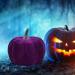 GRIRIW 5pcs Flannel Foam Pumpkin Foam Pumpkin Props Fall Pumpkins Pumpkin for Halloween DIY Pumpkins Purple Purple 14X12.5X12.5CM - Buy Online on GoSupps.com