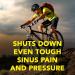 Advil Sinus Congestion & Pain Coated Tablets 20 ea - Pack of 2 - Fast Relief - Buy Online on GoSupps.com