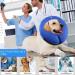 Ducomi XL Blue Inflatable Hinges for Dogs & Cats - Enhanced Comfort Freedom of Movement Scratch & Bite Protection - Buy Online on GoSupps.com
