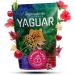 Kit Yerba Mate Yaguar 3x500g Citrus Bomb Energ a Guaran & Cherry Lady Saveurs Fruit es & nergisantes - Buy Online on GoSupps.com