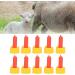 Buy MXGZ Red Silicone Sheep Pacifier - Safe for Orphaned Animals | International Shipping Available - Buy Online on GoSupps.com