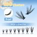 CAMILLASH 280pcs Lash Cluster Kit - Fluffy Volume DIY Eyelash Extensions | D Curl 40D Lashes 10-16mm - Buy Online on GoSupps.com