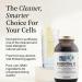 Precision Nutrients Essential Phospholipid Complex Sunflower-Based Brain Supplement for Memory Focus Cellular Detox and Repair Cognitive Support with PC PE PI PS PA Non-GMO - 16fl oz - Buy Online on GoSupps.com