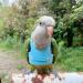 Bird Flight Harness Vest | Parrot Flight Suit with Leash | Outdoor Bird Flying Clothes | Training Vest for Parakeets, Cockatiels, Conures, Budgies | Blue - Buy Online on GoSupps.com