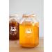 Organic 1-Gallon Kombucha Brewing Starter Kit with SCOBY, Starter Tea, Thermometer, pH Strips & More - Buy Online on GoSupps.com