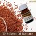 bonballoon 1 Pack Pure & Natural Cresses Cress Seed Seeds Oil Cold Pressed Al Hawaj Elhawag El Hawag Natural Concentrated Crude Perfect Fresh For Body & Skin & Hair (1oz / 30 ml)  - Buy Online on GoSupps.com