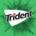 Trident Unwrapped Spearmint Sugar Free Gum  4 Bottles of 50 Pieces (200 Total Pieces) Spearmint 50 Count (Pack of 4) - Buy Online on GoSupps.com