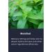 Eczema Treatment Cream - 1% Hydrocortisone & 0.5% Nifedipine - 3.40 oz Eczema Therapy - Fast Relief International Shipping - Buy Online on GoSupps.com
