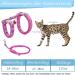 2PC Adjustable Cat Linen Set | Nylon Harness & Leash for Kittens | Pet Steering Crockery Dishes with Leash - Buy Online on GoSupps.com