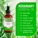 Premium Rosemary Oil for Hair Growth 120ml | Essential Oil for Thinning Damaged Hair - Includes Silicone Scalp Massager - Buy Online on GoSupps.com