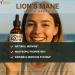 THE HEALTHY LIFE 4 ME Liquid Lions Mane Supplement | Daily Mushroom Supplement for Memory Focus & Clarity | Brain Booster | Lions Mane Tincture for Immune Support | 2 Fl oz - Buy Online on GoSupps.com