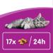 whiskas Kitten 2-12 Months Milky Treats 55g Milk 55 g (Pack of 1) - Buy Online on GoSupps.com