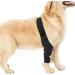Dog Knee Brace Oxford Cloth Breathable Elastic Dog Leg Brace for Pain Relief (S) - Buy Online on GoSupps.com