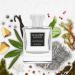 Inspired by Creed's Aventus For Men Eau de Parfum Long Lasting Perfume Spray for Men EDP All Skin Types Cruelty Free - 1.7 fl oz 50ml Inspired by Cre*d Aventus for men Eau de Parfum 1.7 Fl Oz (Pack of 1) - Buy Online on GoSupps.com