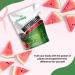 Watermelon Seed Protein Powder | Plant-Based Protein with Magnesium & Iron | 21 Servings for Post-Workout Recovery | Sustainable Nutrition - Buy Online on GoSupps.com