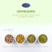 HOME LINE Valsapori Pistachio Sicilian Pistachio 1000 g Pistachio Puro 100% | Raw Chopped Sicilian Pistachio Ungrilled Unsalted Rich in Magnesium Selected Pistachio Elite Quality - Buy Online on GoSupps.com