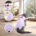 Tomtary Cat Surgical Recovery Suit Professional Cat Surgery Recovery Suit Anti Licking Cat Vest Body Suits Medical Care Cone Collar Alternatives Suit for Cats Weaning Wounds Skin Diseases(Purple M) - Buy Online on GoSupps.com