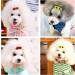 Pet Hair Clips 12 Pcs Cute Dogs Cats Barrettes Oval Sunglasses Shapes Hair Pins Dog Hair Clips Cat Hairpin for Kitten Puppy Grooming Accessories (Oval)(Random Color) - Buy Online on GoSupps.com