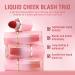 Matte Liquid Blush #102 - Long-Wearing, Natural-Looking Cheek Makeup | Smudge-Proof Formula | Lightweight & Smooth - Buy Online on GoSupps.com