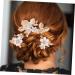 SKISUNO 1 Set Leaves and Flowers Hair Comb Wedding Hairpin Hair Accessories for Women Bridal Headpiece Bride Headdress Wedding Hair Comb Hair Combs for Women Accessories Flower Hair Pin - Buy Online on GoSupps.com