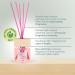 Cristalinas 35ml Cherry Blossom Air Fresheners for Home - Reed Diffusers for home - Home Fragrance Lasts upto 8 weeks - Room Diffuser Sticks with Coloured Fragrance Oil (Pack of 2) 35ml (Pack of 2) - Buy Online on GoSupps.com