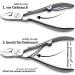 Marqus 5-Part Nail Set for Men and Women - Premium Solingen Manicure Kit - Travel-Friendly Nail Care Essential - Buy Online on GoSupps.com