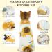 Dertrun Cat Surgery Soft Romper - Anti-Lick Abdominal Wound Suit for Male & Female Kittens - Post-Surgery Collar Cone Replacement - Yellow - Buy Online on GoSupps.com