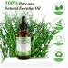 Hair Essential Oil Rosemary Oil Hair Rosemary Oil for Hair Organic Rosemary Oil for Hair Care Rosemary Essential Oil for Men and Women - Buy Online on GoSupps.com