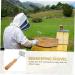 Mipcase 2pcs King Partition Cleaning Shovel Household Beekeeping Shovel Beekeeper Hive Tool Cleaner Beehive 21x6.2cmx2pcs As Shownx2pcs - Buy Online on GoSupps.com