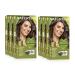 Naturtint Lot de 6 colorations permanentes 5 g Ch tain dor clair | Sans ammoniaque | V g talien | Couverture 100% des cheveux gris | R sultats durables Ch tain dor clair 1 unit (Lot de 6)