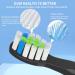 Toothbrush Heads Compatible with Bitvae D2 - 10 Soft Bristle Replacement Heads (5 Black + 5 White) - International Shipping Available - Buy Online on GoSupps.com