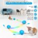 Extfans Katzenball mit LED - Interaktiver 360 Katzen Spielzeugball USB wiederaufladbar Blau - Zwei-Farben Elektrisch f r Katzen - Buy Online on GoSupps.com