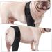 ifundom Comfy Brace Dog Knee Comfortable Dog Knee Protector Front Legs The Dog Auxiliary Belt S As Shown - Buy Online on GoSupps.com