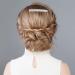 10pcs Transparent Side Combs - Vintage Twist French Hair Clips for Women's Bridal Wedding - Buy Online on GoSupps.com
