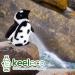 Paws Plush Eco Toy: Deluxe Cuddly Soft 100% Recycled (Humboldt Penguin) - Buy Online on GoSupps.com