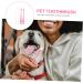 WOONEKY 4pcs Pet Toothbrush Dog Toothbrushes Dog Plaque Tools Pet Cleaning Brush Pet Toothpaste Puppy Abs - Buy Online on GoSupps.com
