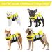 Alagirls Small Dog Wowers - Sporty Lifeguard Vest with Adjustable Straps (Aladlj001) - Yellow & Gray M: 48-58cm Chest Circumference - Buy Online on GoSupps.com