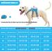 Belpro Multi-Purpose Dog Harness - No Pull Adjustable Reflective Vest for Large Dogs (Blue L) - Durable Handle & Dog Dishes Included - Buy Online on GoSupps.com
