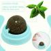 Xinstroe 4 Pack Catnip Balls Toys - Rotating Wall Catnip Balls for Engaging Cat Play | Shop Internationally - Buy Online on GoSupps.com