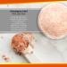 Buy Himalayan Pink Salt Ceramic Inhaler | Natural Rose Facial Tissue - 1.9 Lbs for Healthy Breathing - Buy Online on GoSupps.com