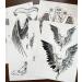 Kotbs Angel Wings Large Temporary Tattoos - 6 Sheets | Realistic Fake Tattoo for Men and Women | Long Lasting and Waterproof - Buy Online on GoSupps.com