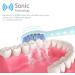 Sonic Electric Toothbrush for Adults - 5 Modes 2 Min Timer Battery Powered Unisex | International Shipping - Buy Online on GoSupps.com