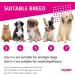 CALHNNA Dog Snow Boots for Small-Medium Dogs | Pink Anti-Slip Paw Protectors with Socks | Size-3 (Width 1.18) - Buy Online on GoSupps.com