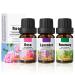 Essential Oils Set 3x10ml Skin Care Essential Oil Multipurpose Aromatherapy Oil Lavender Rosemary Rose Essential Oils for Moisturises and Softens Skin Home Fragrance Diffuser Oil
