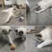 Osvela Cat Ball Toys 12 Pack - Pom Pom Sparkle Fuzzy Balls in Assorted Colors - Buy Online on GoSupps.com